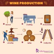 Wine production