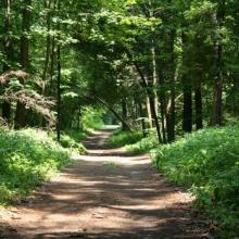 camp trail