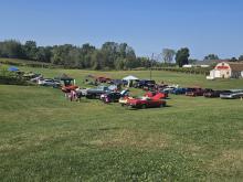 cars in a field