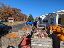 apples and pumpkins